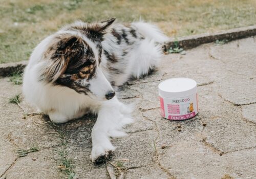 Dental YUM – Zahnpflege Granulat für Hunde von Medidog