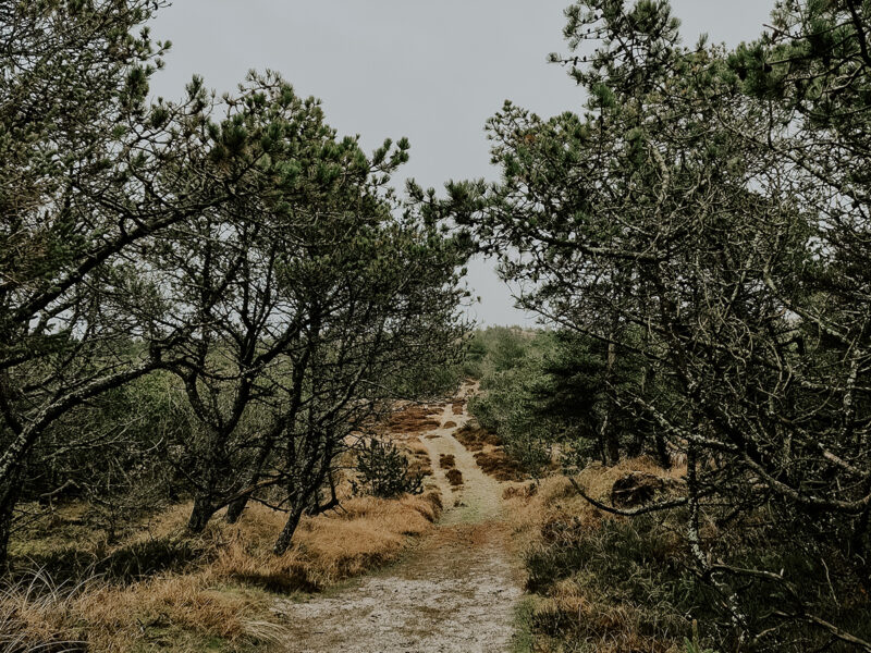 Dänemark ’23: eine kleine Auszeit Zwischendurch