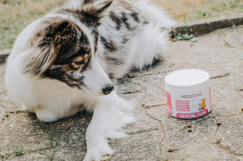 Dental YUM – Zahnpflege Granulat für Hunde von Medidog