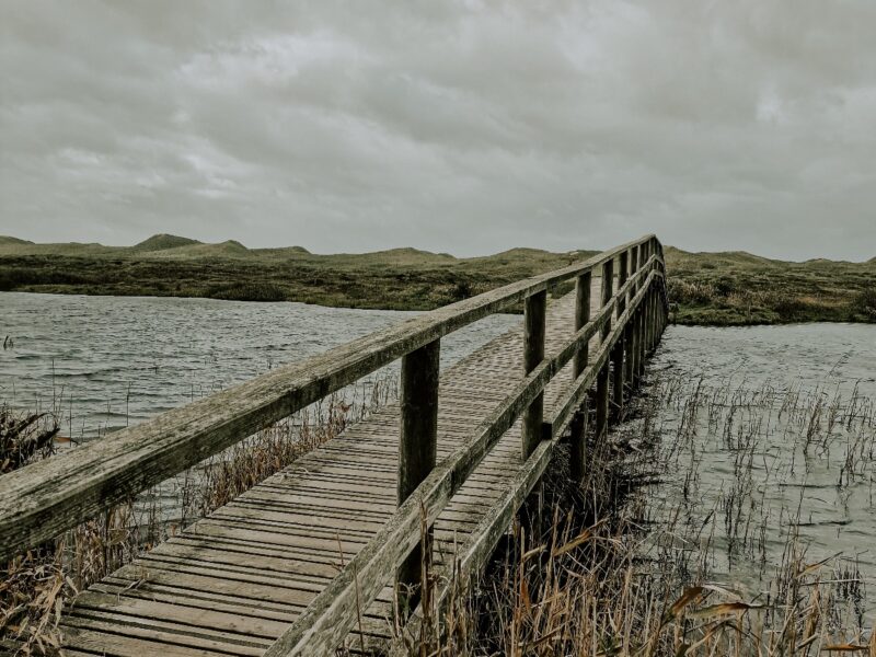 Dänemark ’22: Wandertour am Houstrup Strand und Wald