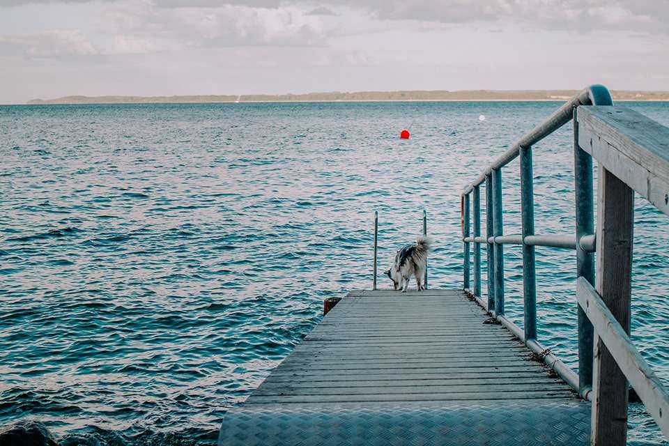 Brodtener Steilküste in der Lübecker Bucht an der Ostsee – ein Schatz der Natur 11 IMG 4532