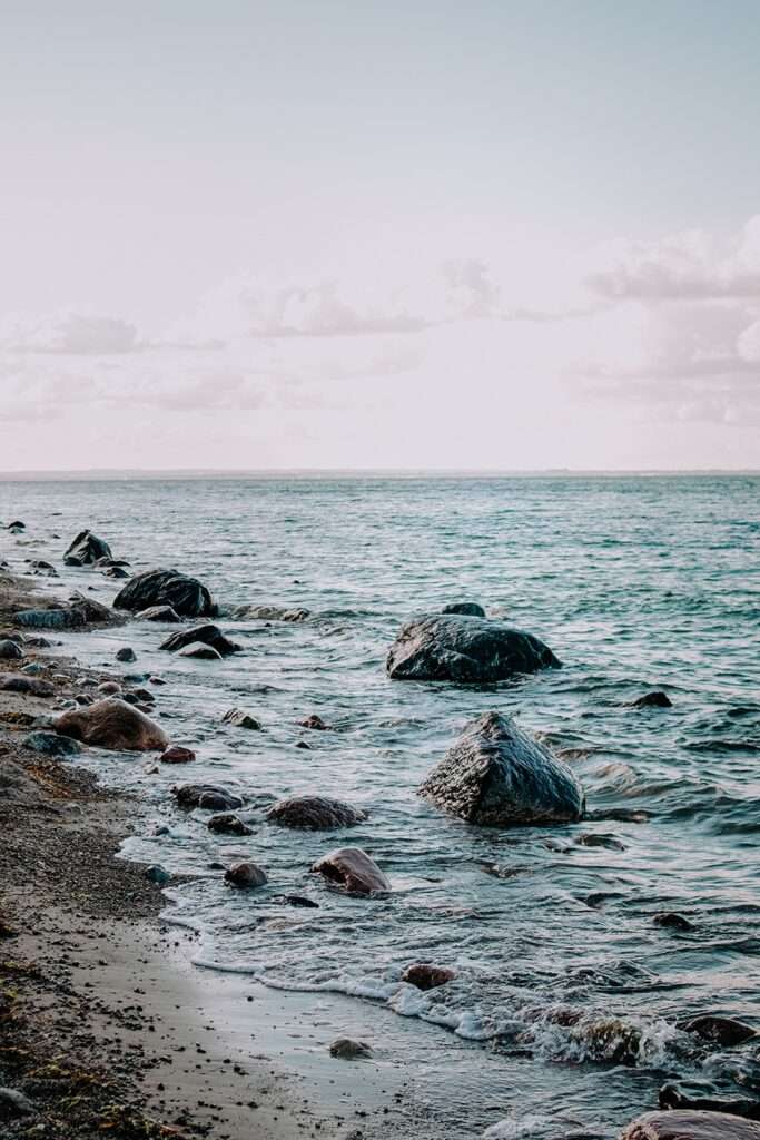 Brodtener Steilküste in der Lübecker Bucht an der Ostsee – ein Schatz der Natur 7 IMG 4571