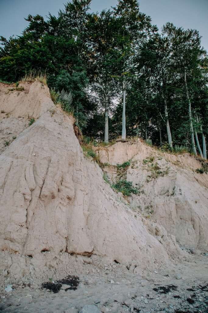 Brodtener Steilküste in der Lübecker Bucht an der Ostsee – ein Schatz der Natur 12 IMG 4635