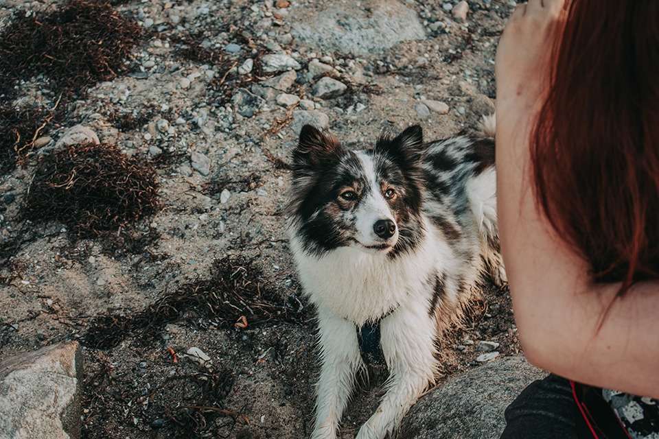 Brodtener Steilküste in der Lübecker Bucht an der Ostsee – zwischen Klippen und Wellen 14 IMG 4709
