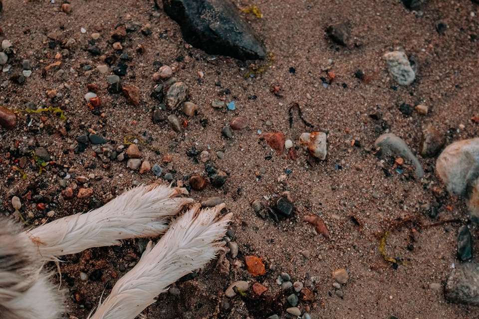 Brodtener Steilküste in der Lübecker Bucht an der Ostsee – zwischen Klippen und Wellen 17 IMG 5034