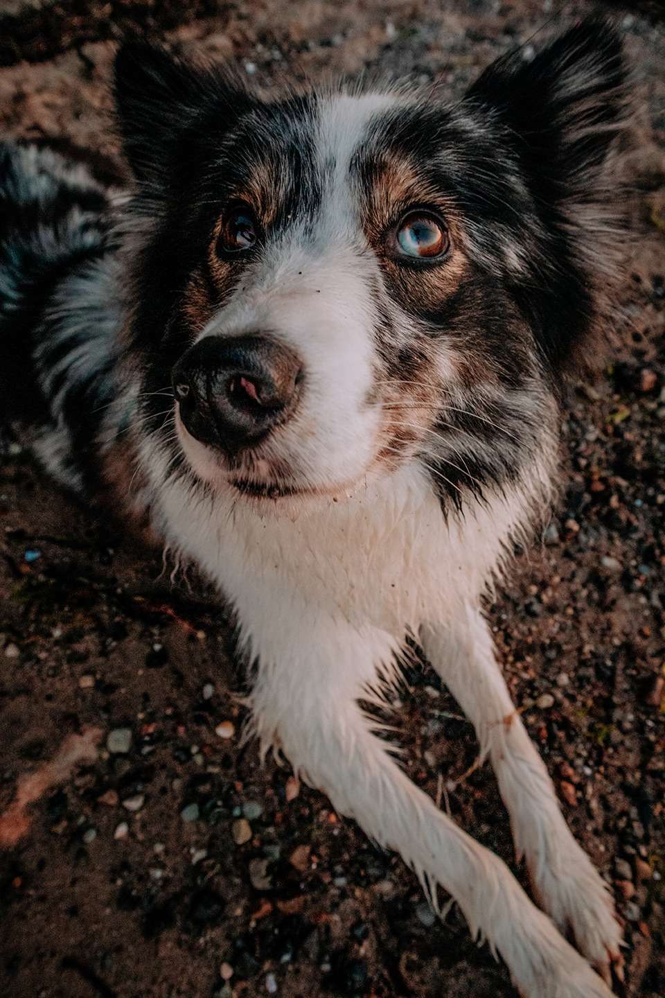Brodtener Steilküste in der Lübecker Bucht an der Ostsee – zwischen Klippen und Wellen 16 IMG 5052