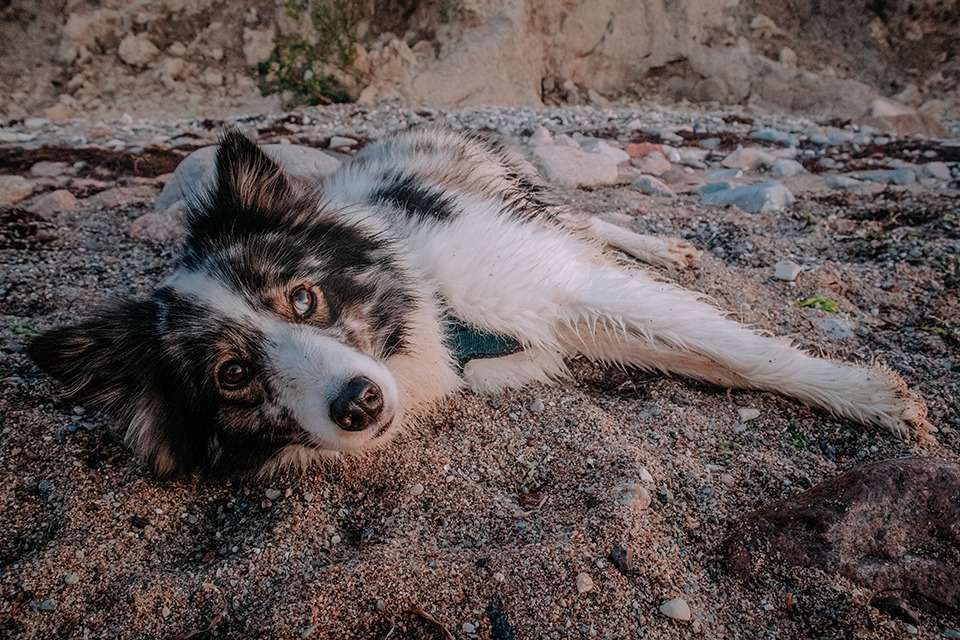 Brodtener Steilküste in der Lübecker Bucht an der Ostsee – zwischen Klippen und Wellen 5 IMG 5104