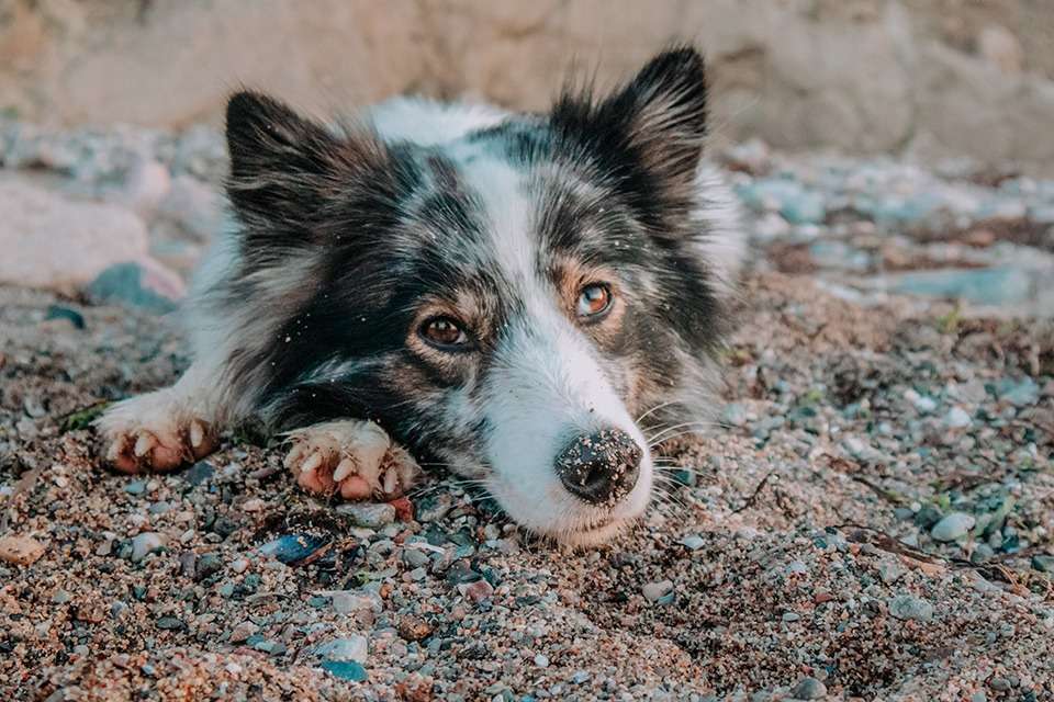Brodtener Steilküste in der Lübecker Bucht an der Ostsee – zwischen Klippen und Wellen