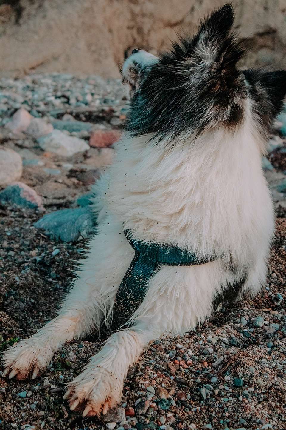 Brodtener Steilküste in der Lübecker Bucht an der Ostsee – zwischen Klippen und Wellen 7 IMG 5122