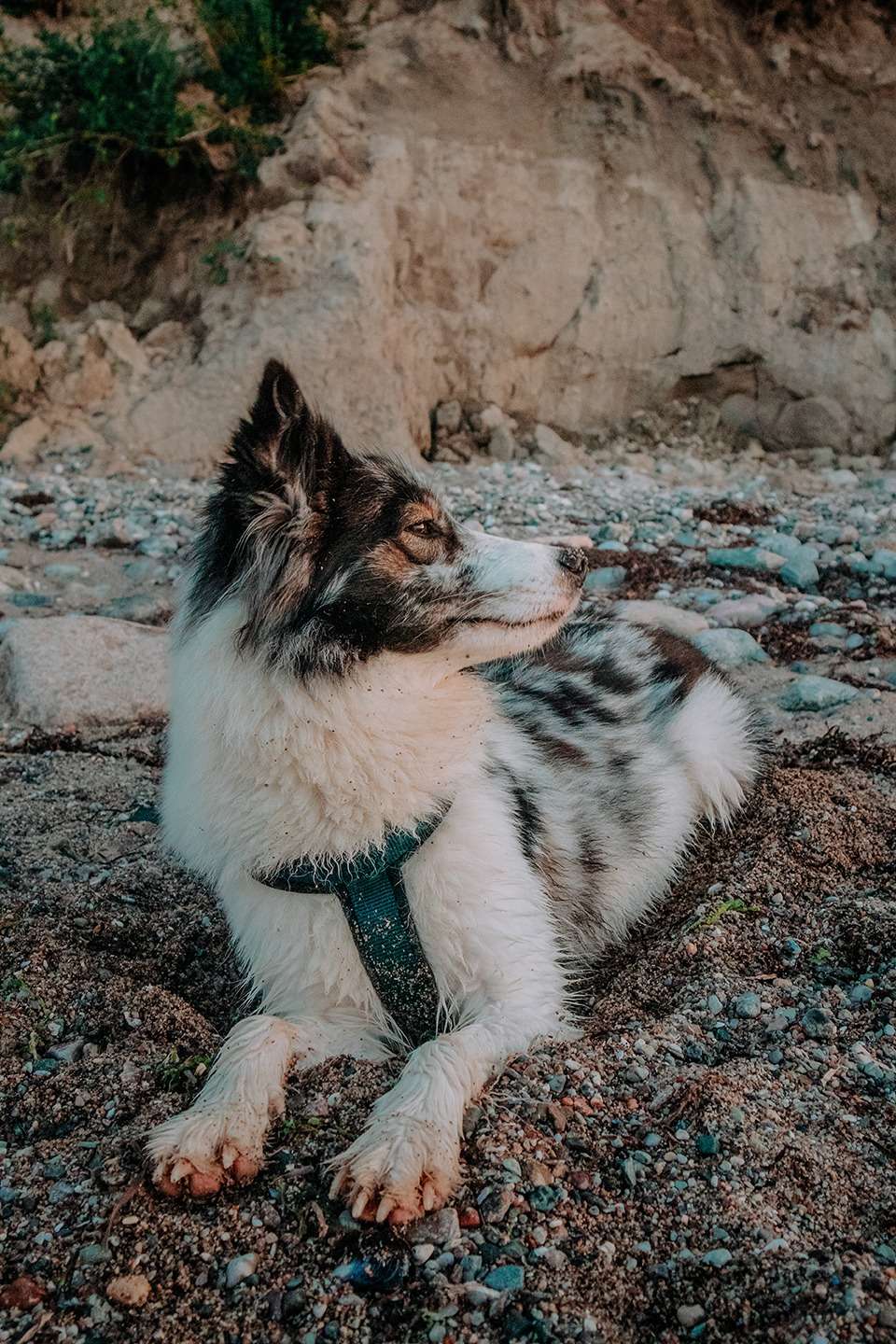 Brodtener Steilküste in der Lübecker Bucht an der Ostsee – zwischen Klippen und Wellen 8 IMG 5123