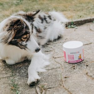 dental yum zahnpflege granulat medidog 2
