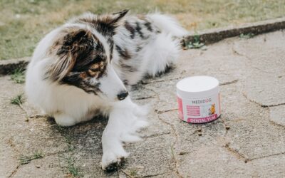 dental yum zahnpflege granulat medidog 2