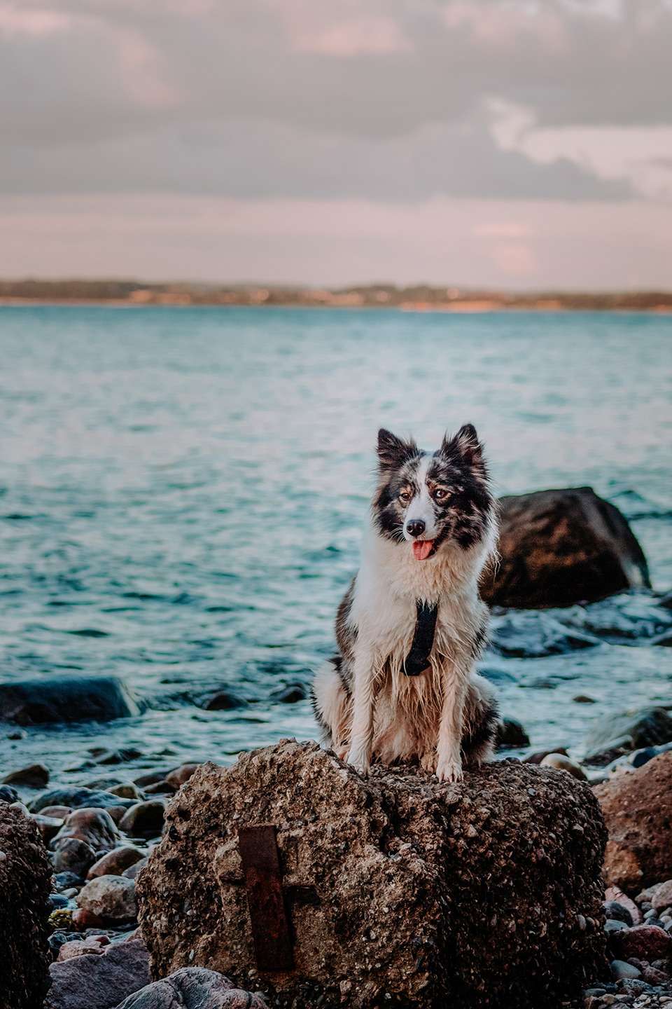 Brodtener Steilküste in der Lübecker Bucht an der Ostsee