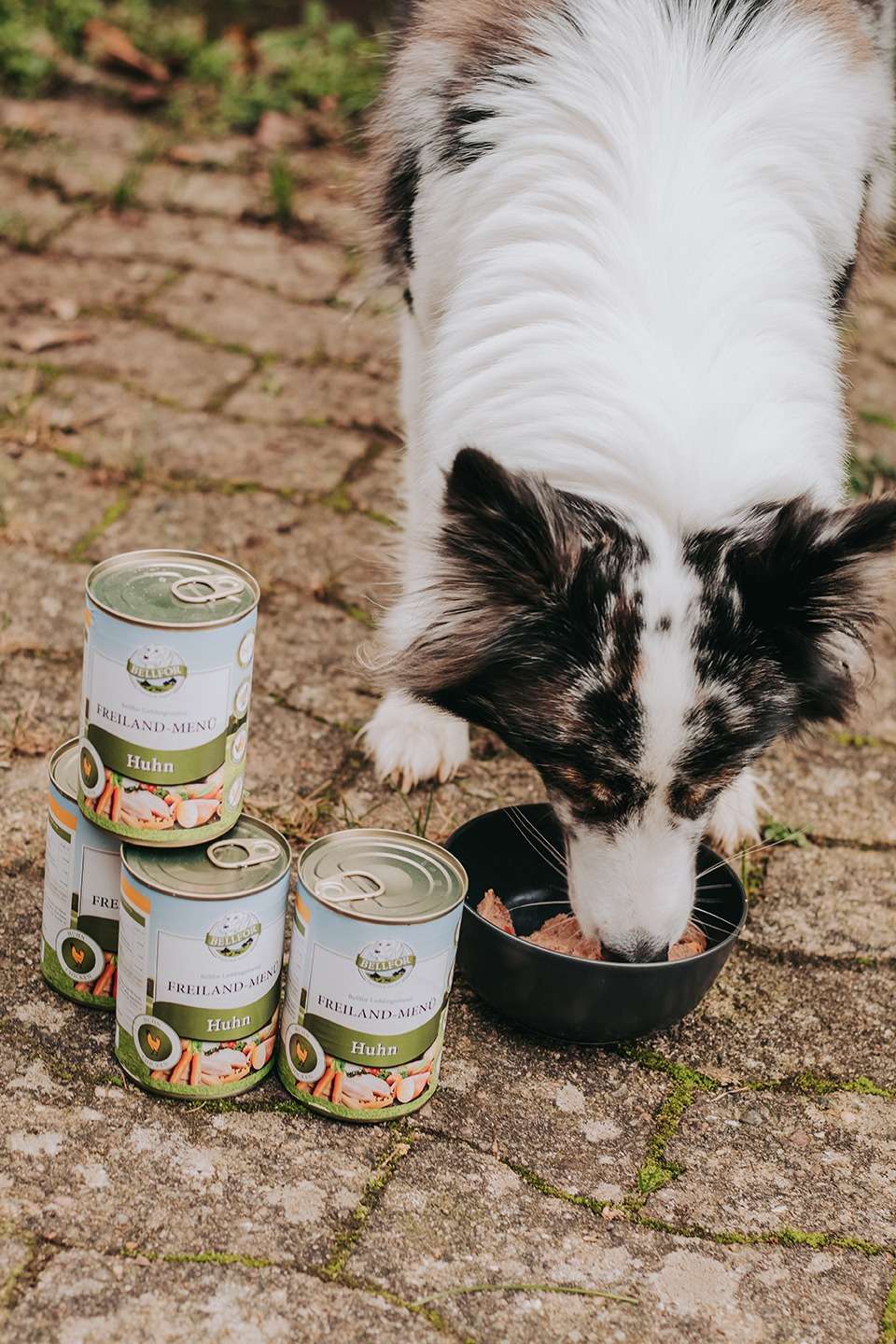 Bellfor Lieblingsmenü