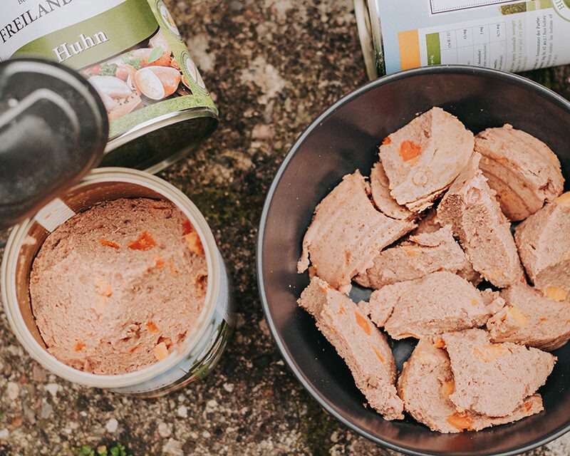 Bellfor Lieblingsmenü: Freiland-Menü mit Huhn & Snacks – Bountys Geschmackstest 6 bellfor lieblingsmenu5 800x640 1