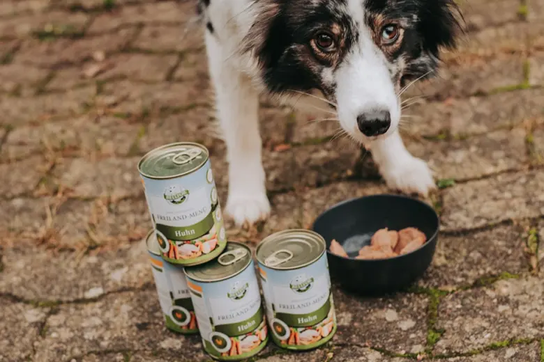 Bellfor Lieblingsmenü: Freiland-Menü mit Huhn & Snacks – Bountys Geschmackstest 5 bellfor lieblingsmenu6