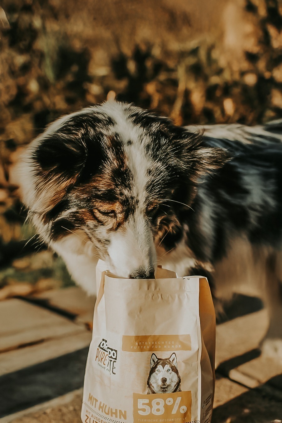 orlando pure taste huhn 1 2