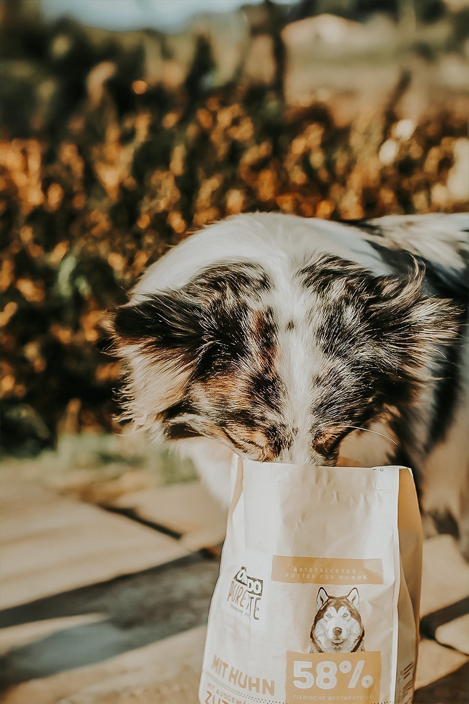 orlando pure taste huhn 3 2