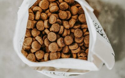 orlando pure taste huhn 5 2 e1748978133120