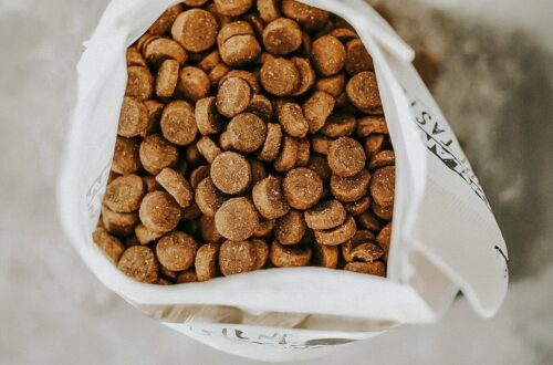 Orlando Pure Taste – Getreidefreies Trockenfutter von Lidl im Test 8 orlando pure taste huhn 5 2 e1748978133120