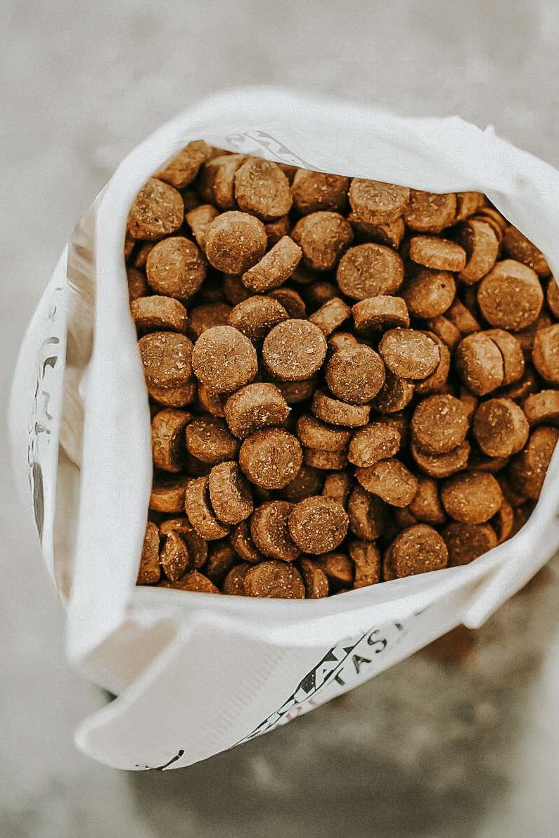 orlando pure taste huhn 5 2