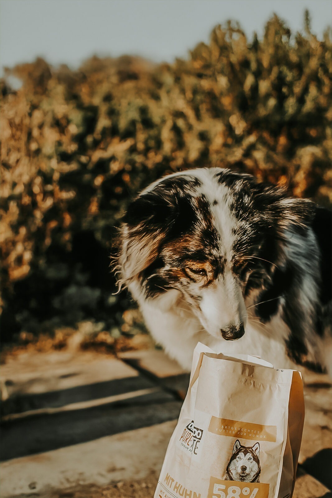 orlando pure taste huhn 6 2