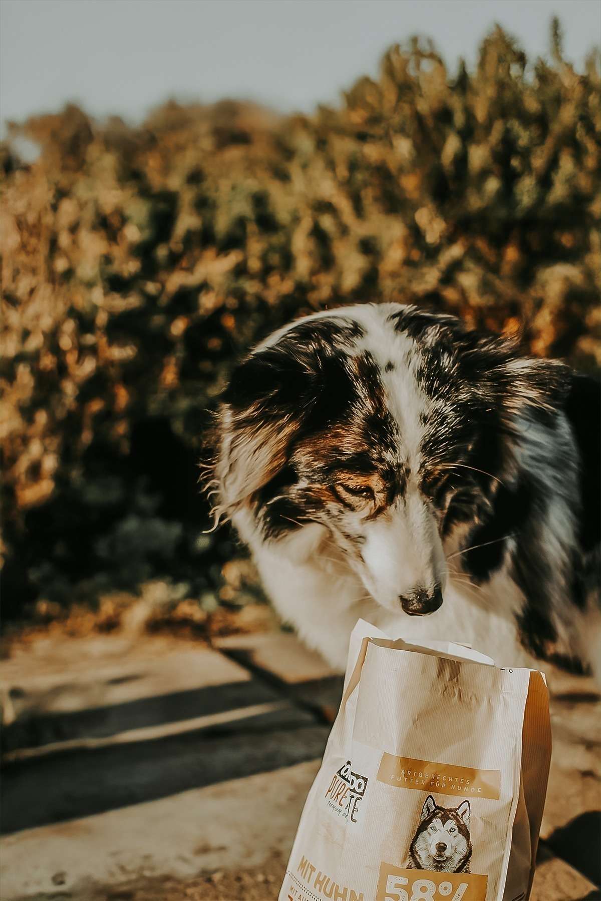 orlando pure taste huhn 6 2