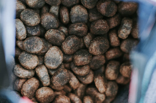 Madison Sea & Grand Lake – Getreidefreies Trockenfutter von WILDKIND im Test 7 Grand Lake Trockenfutter WILDKIND