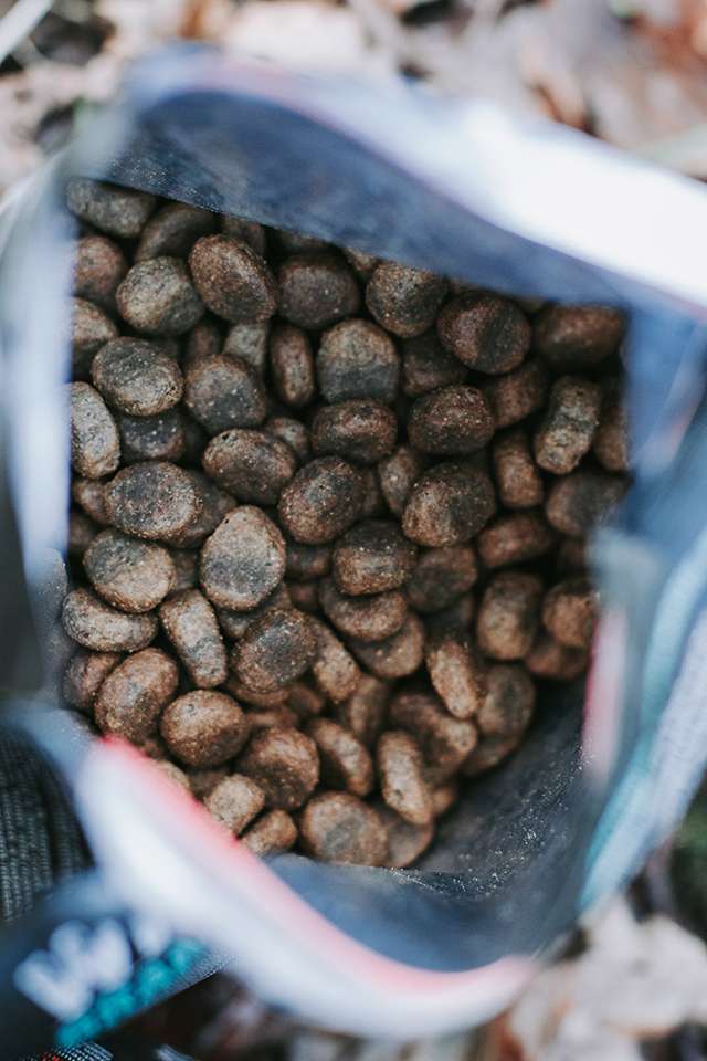 Madison Sea & Grand Lake – Getreidefreies Trockenfutter von WILDKIND im Test