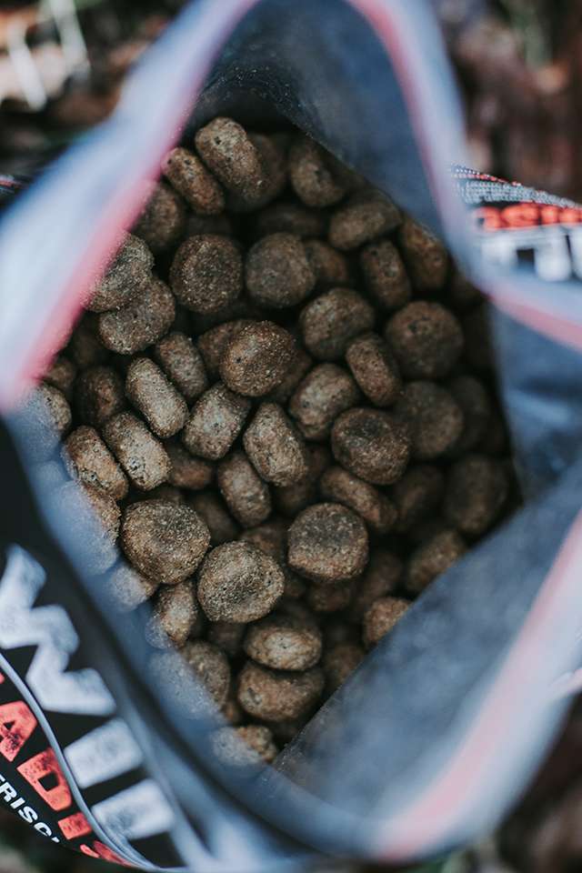 Madison Sea & Grand Lake – Getreidefreies Trockenfutter von WILDKIND im Test 3 wildkind madison sea 17