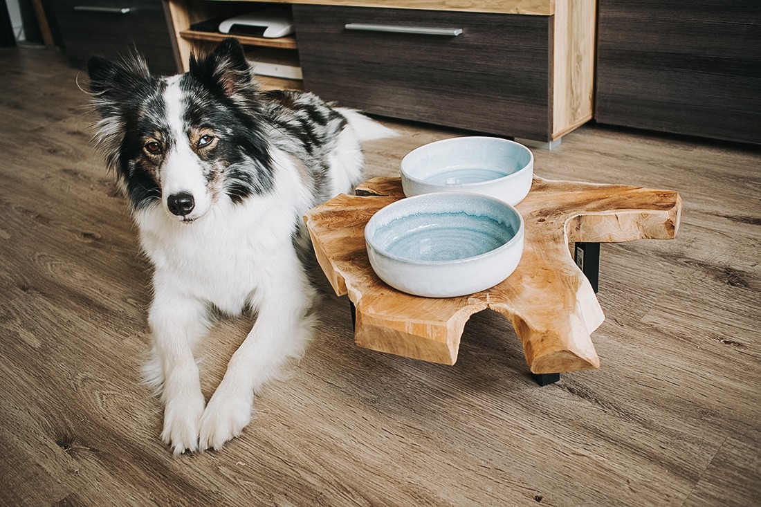 DIY Hunde Futterbar TEAK Keramik 17