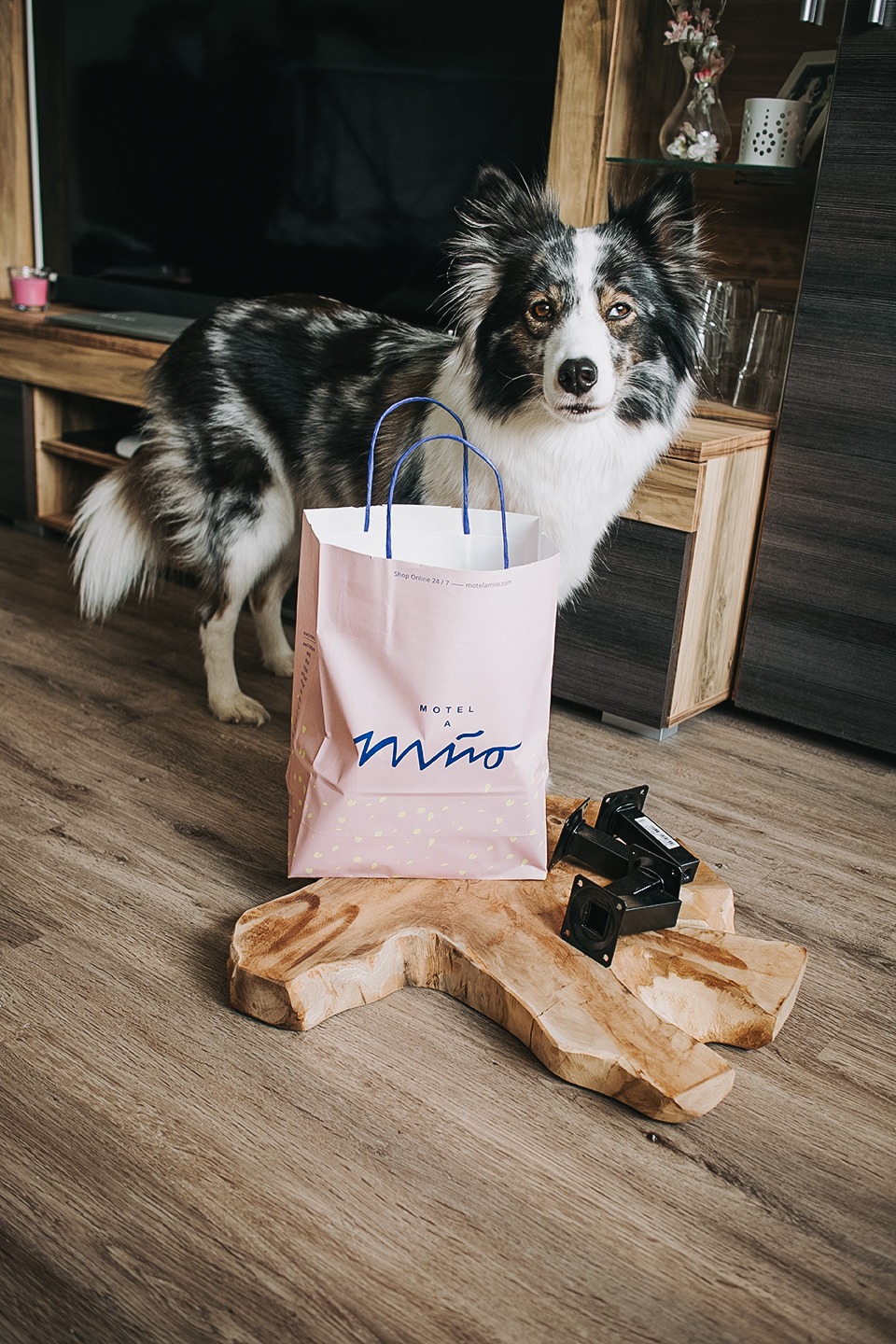 DIY Hunde Futterbar TEAK Keramik 2