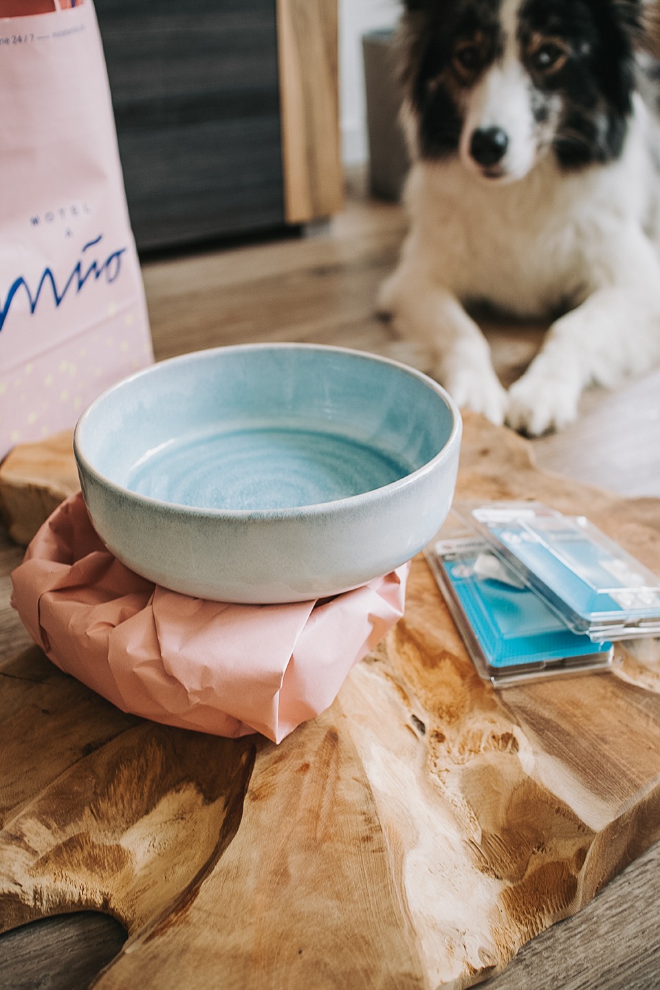 DIY Hunde Futterbar TEAK Keramik 4