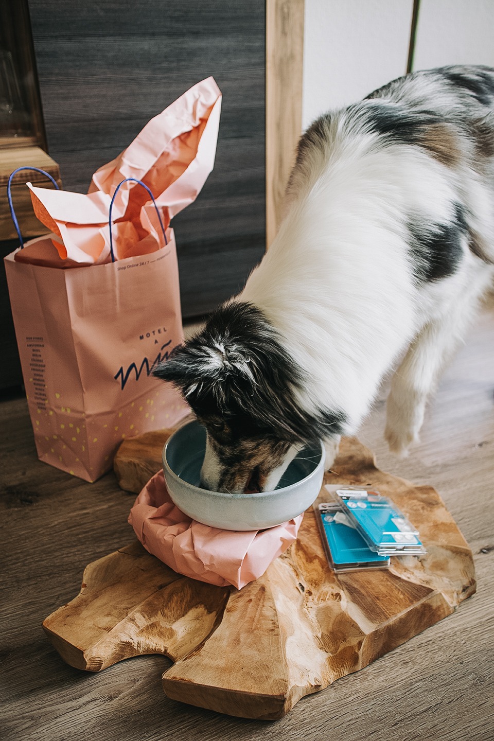 DIY Hunde Futterbar TEAK Keramik 6