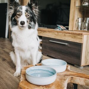 DIY erhöhte Futterbar