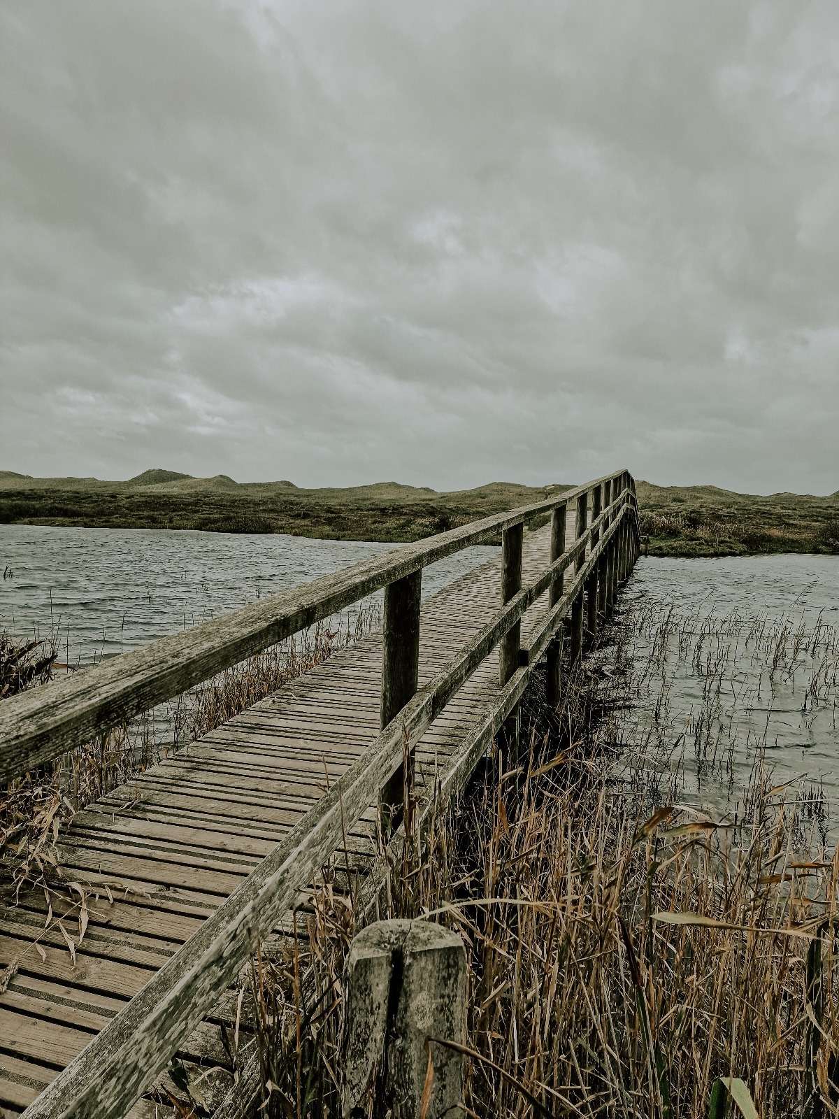 Dänemark ’22: Wandertour am Houstrup Strand und Wald