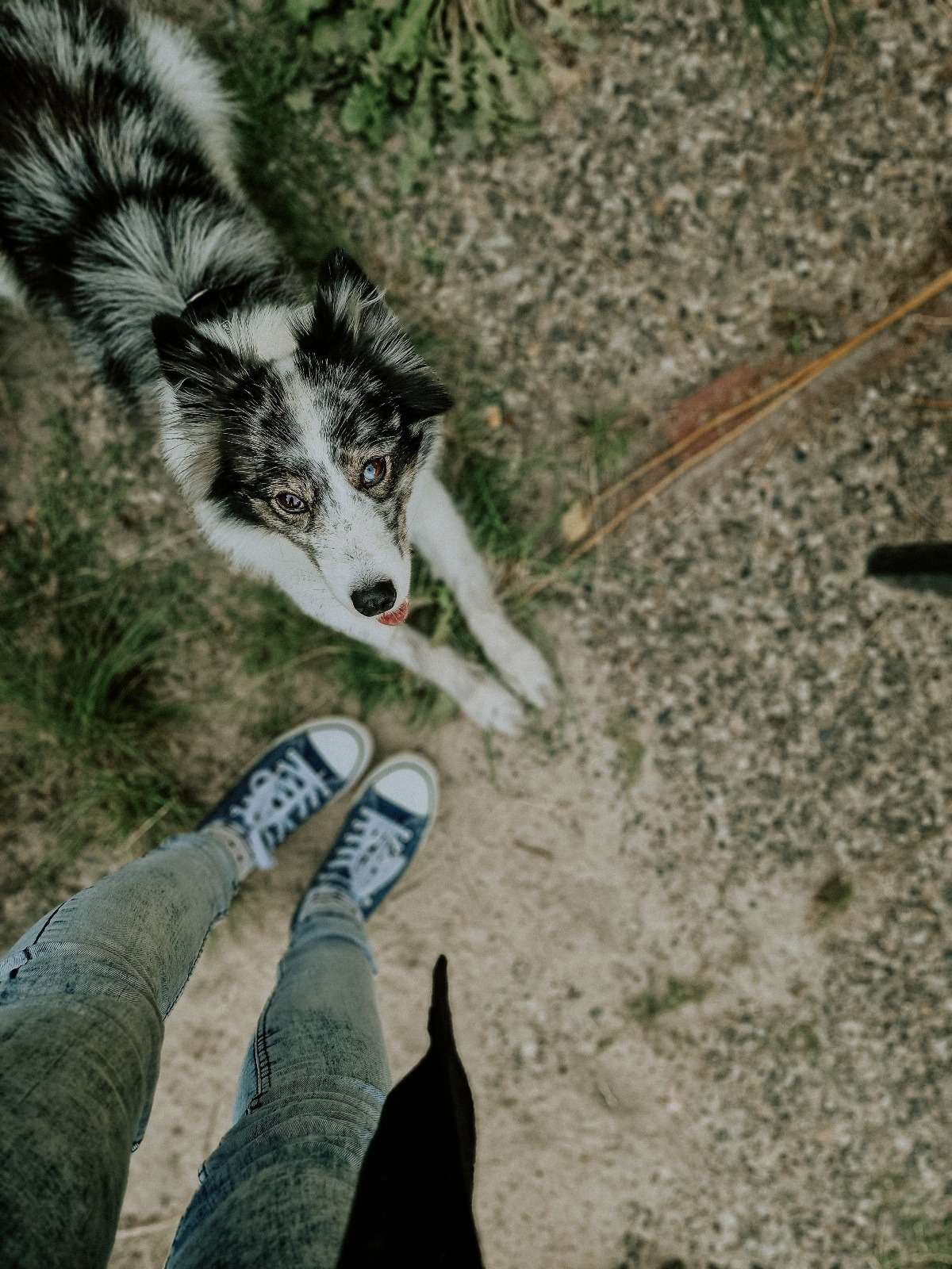 Impressionen aus dem Garten 6 1000000286