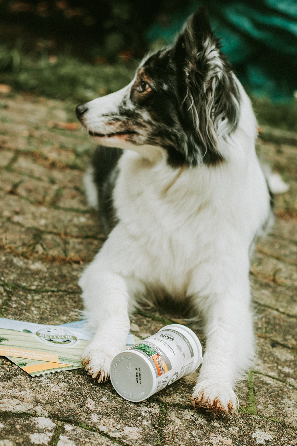 Vermal Pulver Bellfor