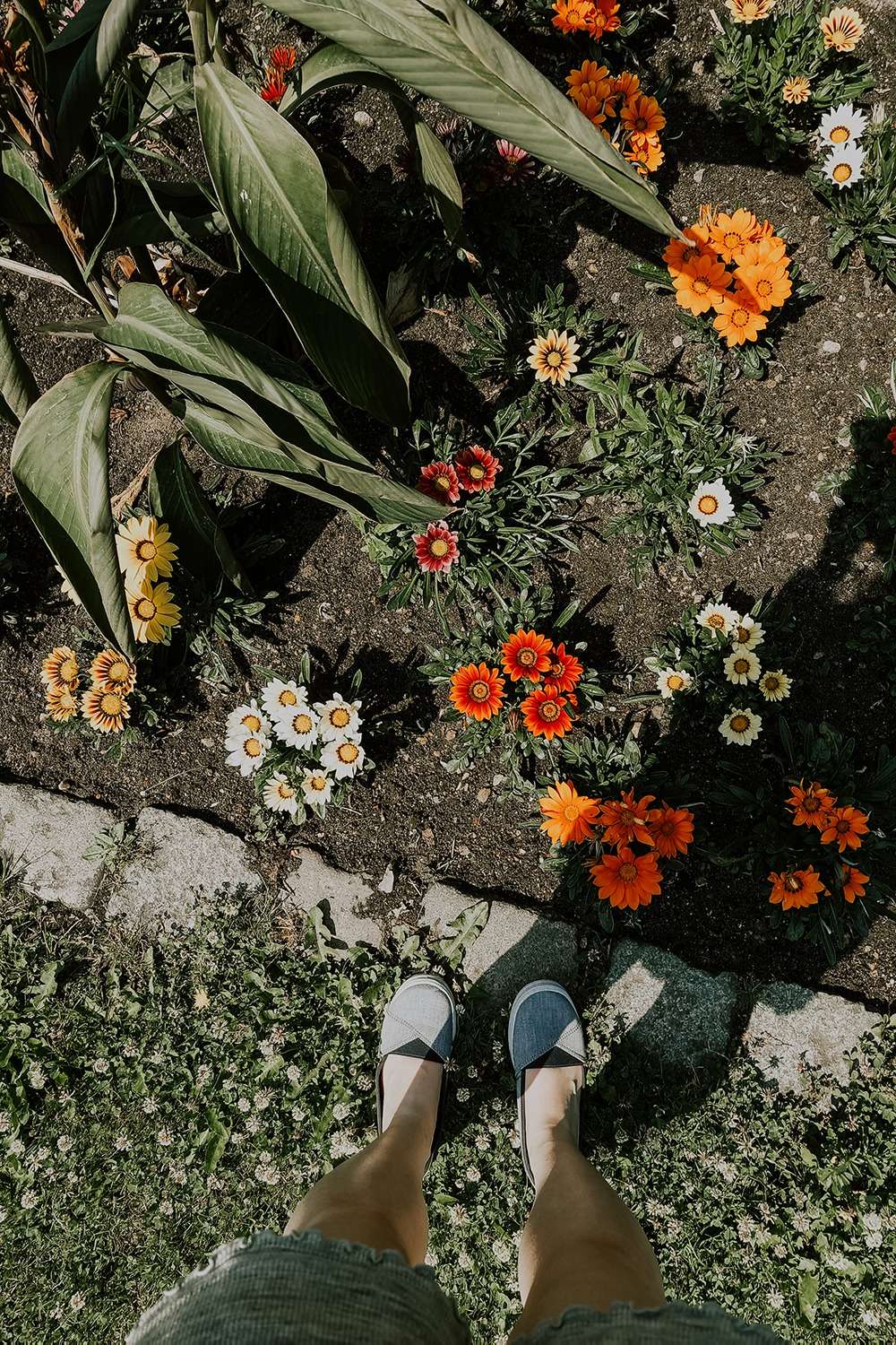 botanischer sondergarten wandsbek 4