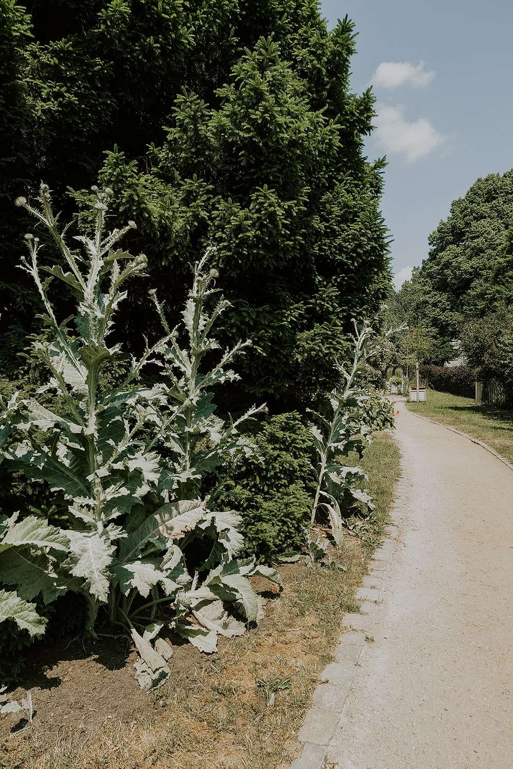 botanischer sondergarten wandsbek 6