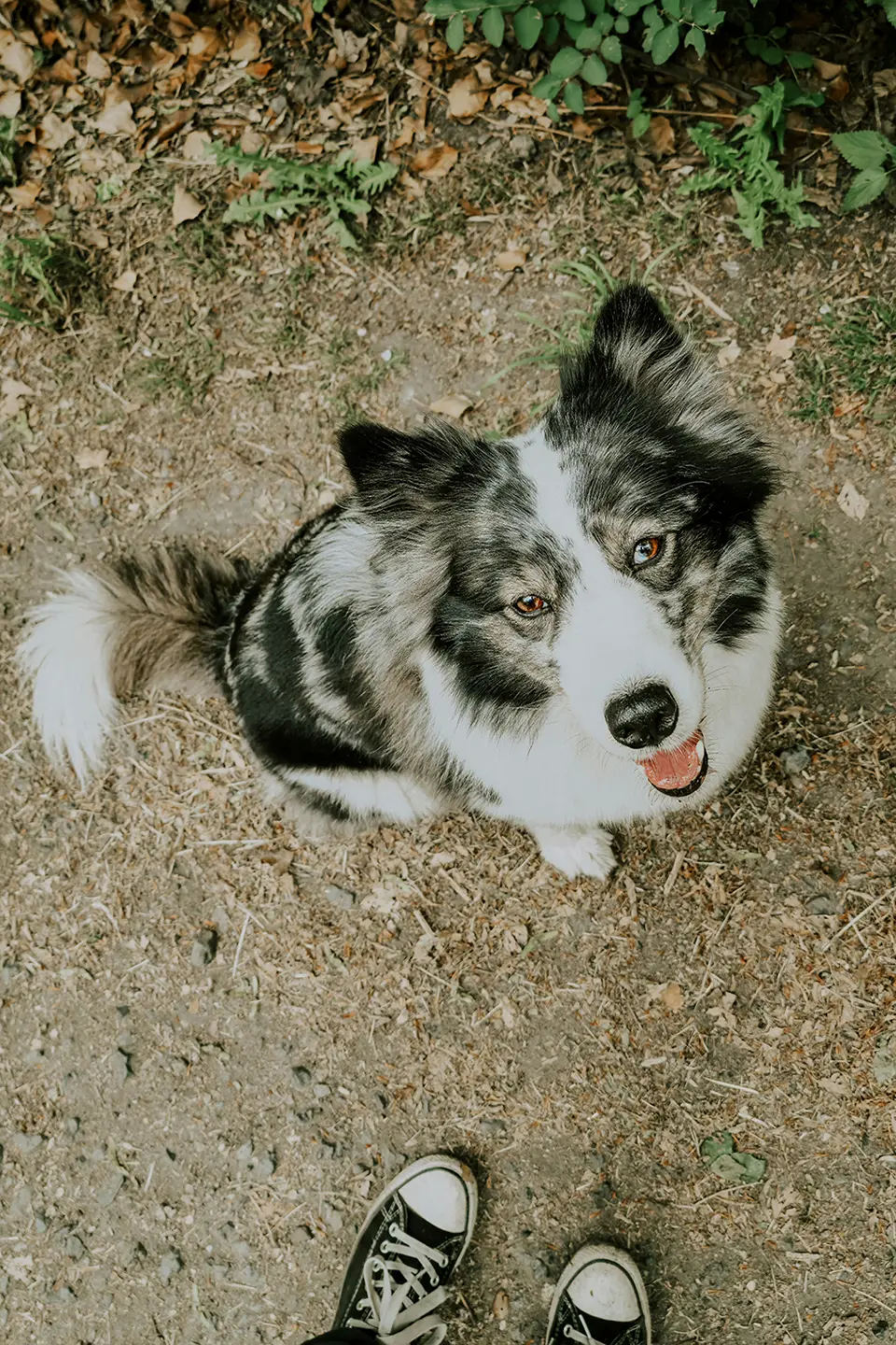 Ein Tutnix kommt selten allein