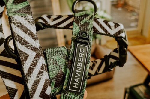 ZickZack Geschirr und Führleine von HAVNBERG 14 ZickZack Geschirr und Führleine HAVNBERG