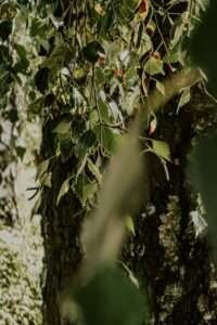 Sonntagsgedanken: wann wurde Lästern eigentlich zum neuen Trend? 1 20230820 194121