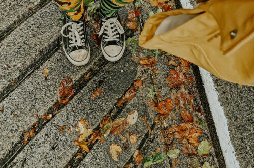 20231007 160853 e1707313506702