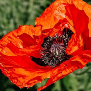 1000000586 e1741895977729