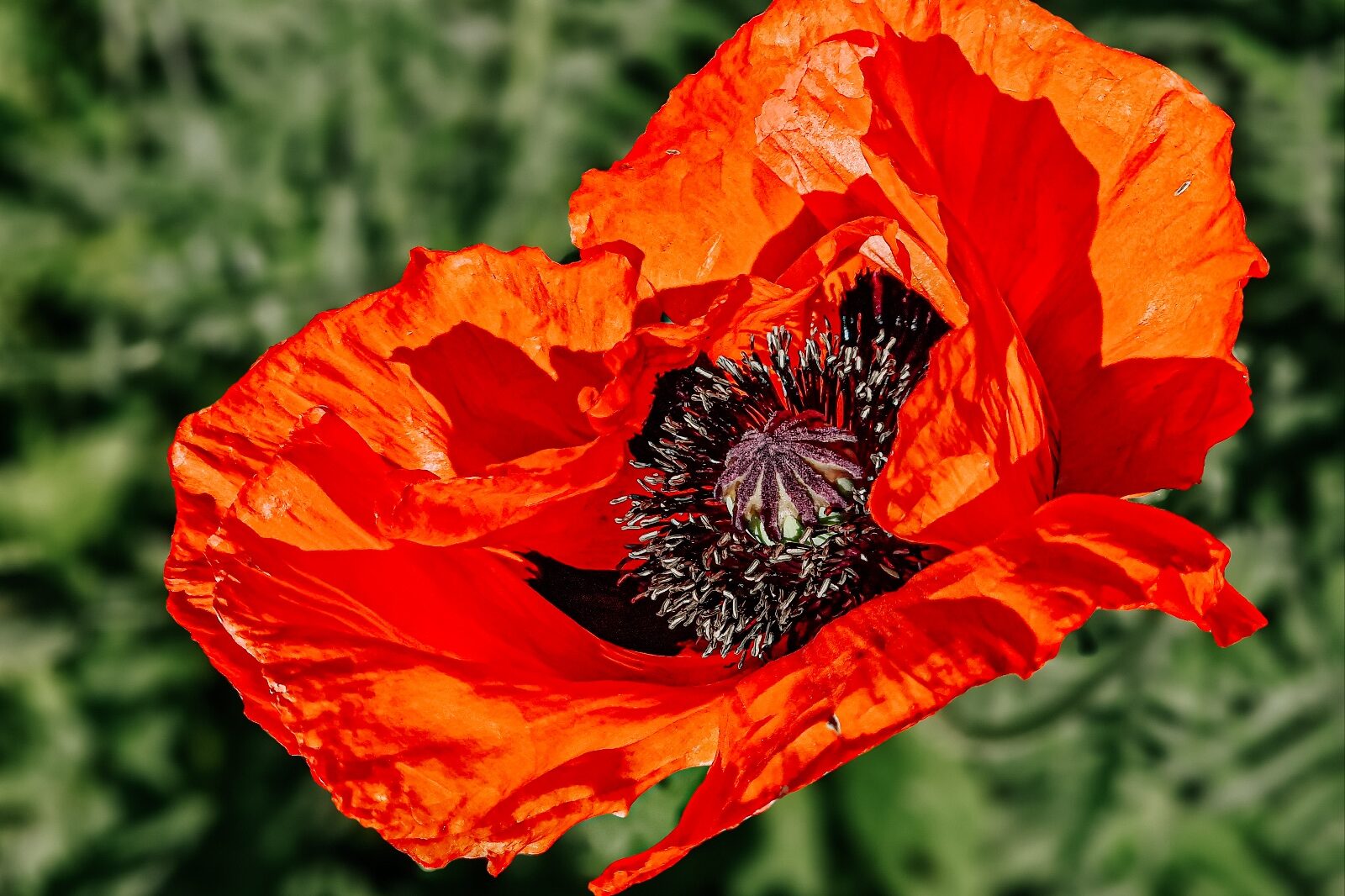 1000000586 e1741895977729