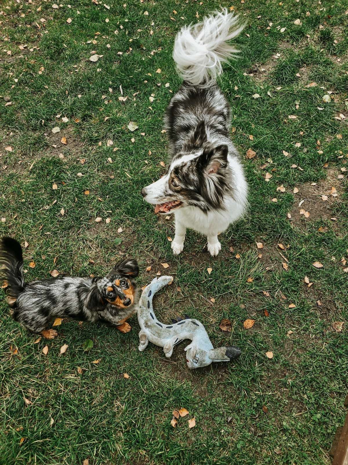 Urlaub & drei Tage Campingplatz Impressionen 3 1000000730