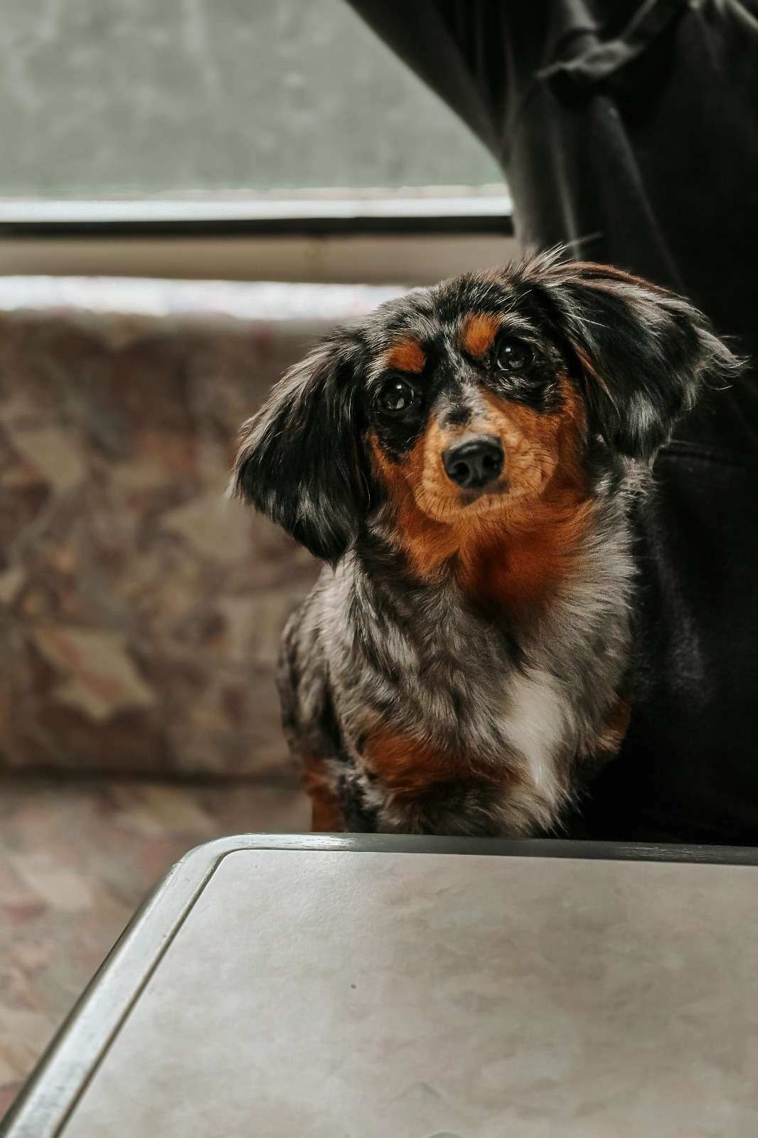 Urlaub & drei Tage Campingplatz Impressionen 11 1000000811