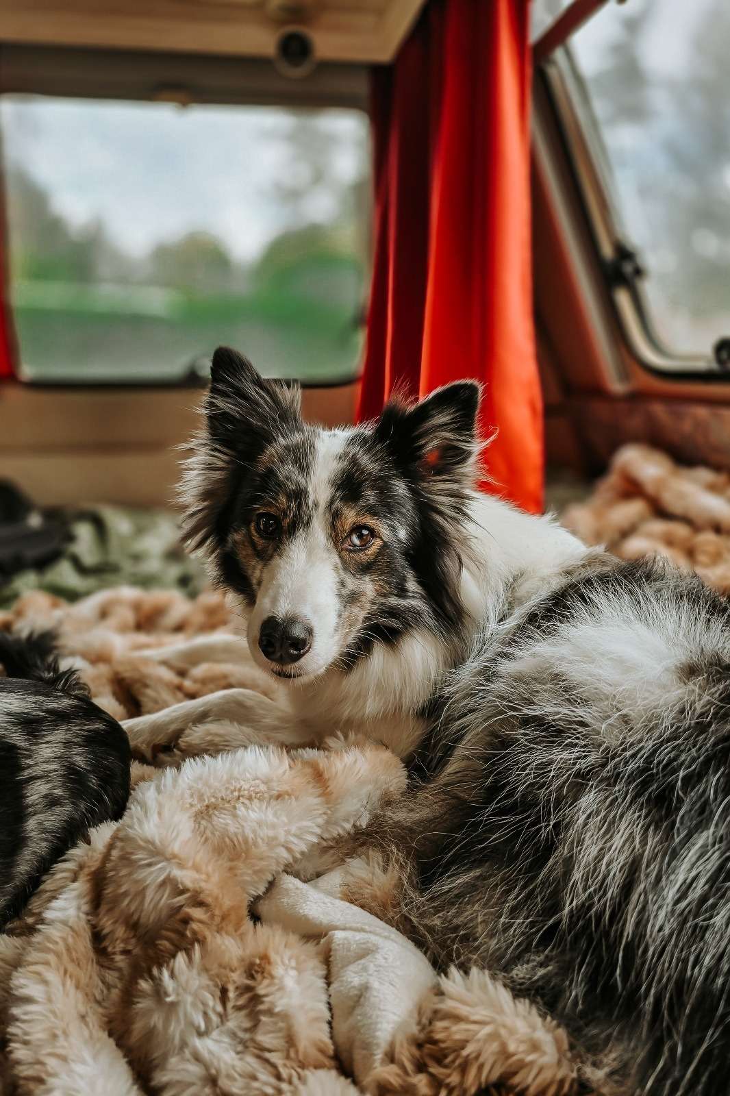 Urlaub & drei Tage Campingplatz Impressionen 10 1000000818