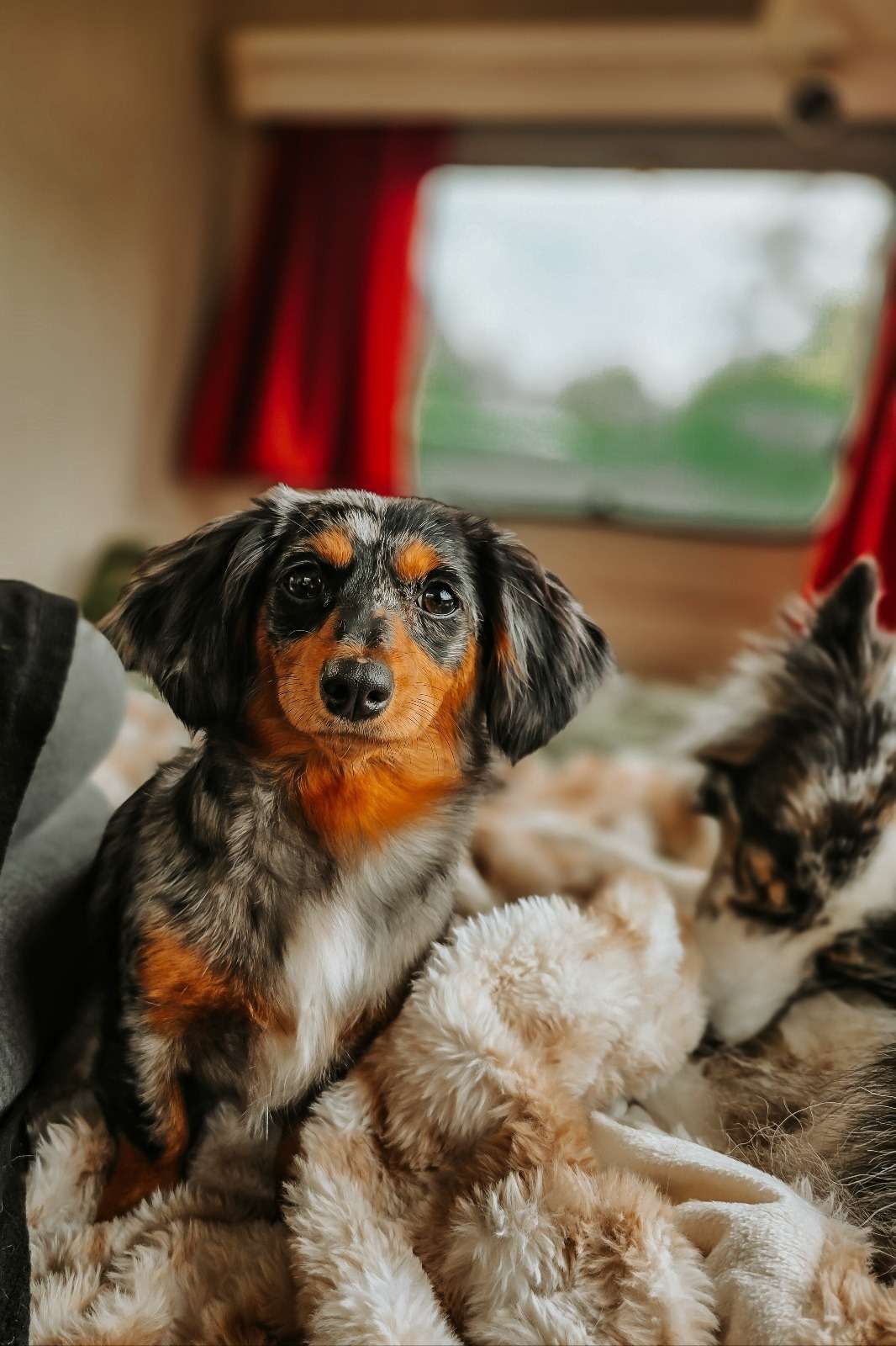 Urlaub & drei Tage Campingplatz Impressionen 8 1000000819